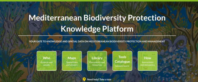 Screenshot 2022-12-06 16.22.11